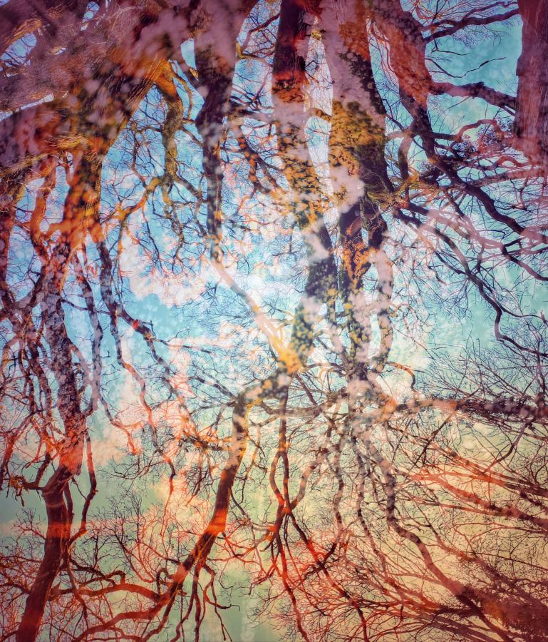 Branching Downward