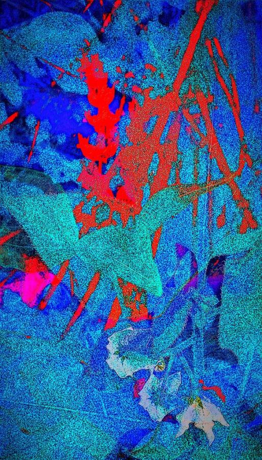 Color Impressions 2