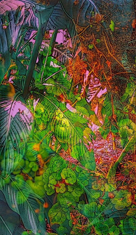 Fairies Hiding