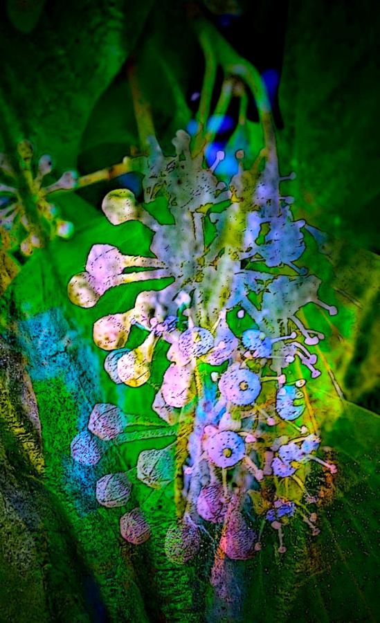 Fairy Bells