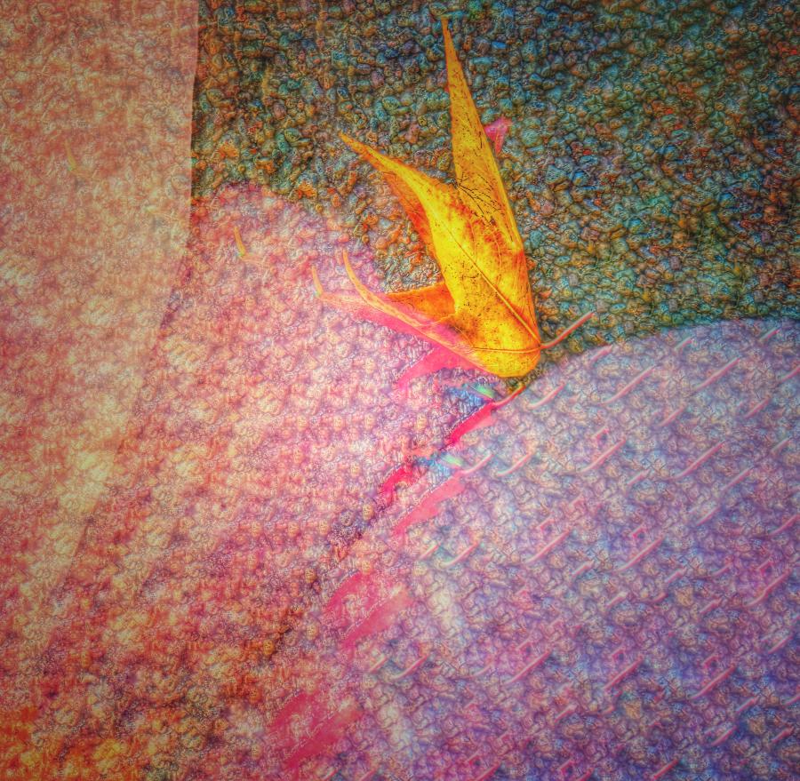 Fairy Presence
