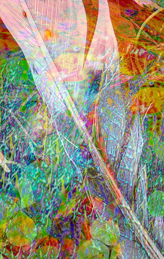 Feather Magic 2