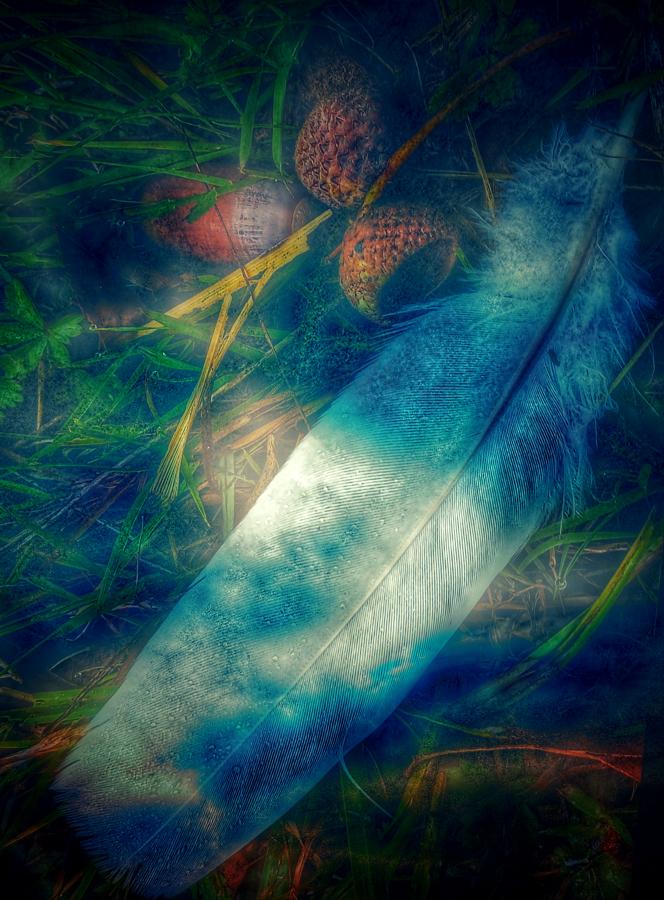 Feather Magic