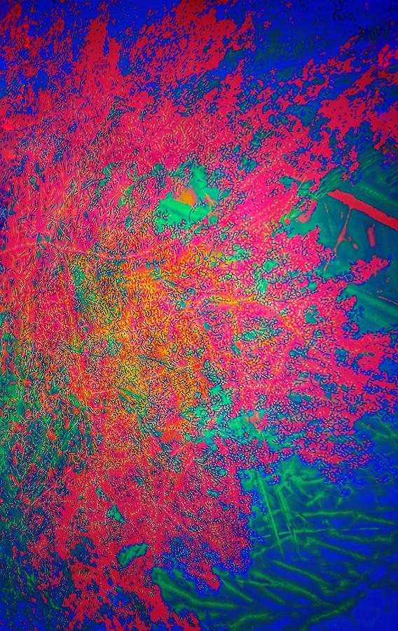 Inner World