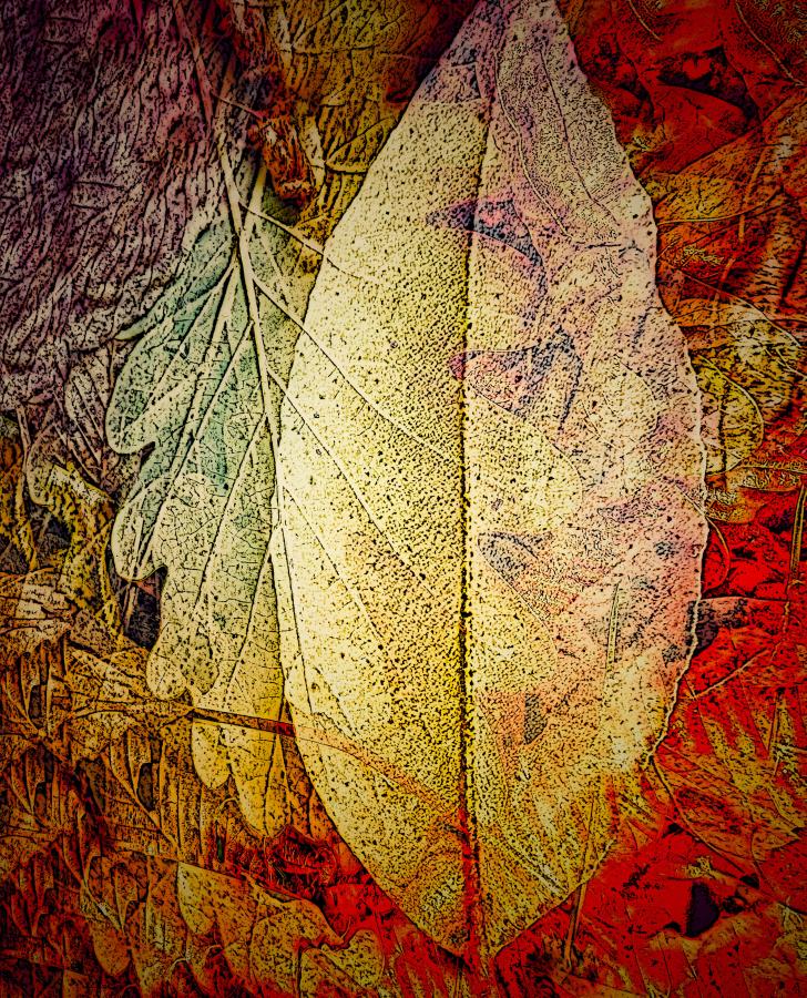 Fairy Presence