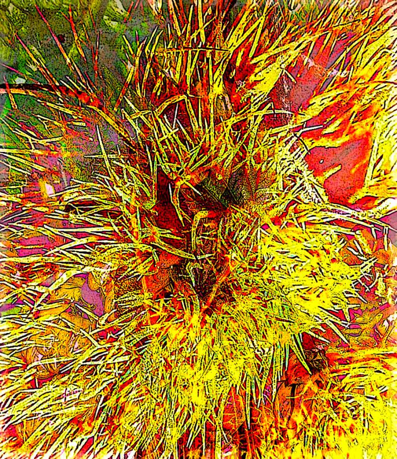 Prickly Explosion