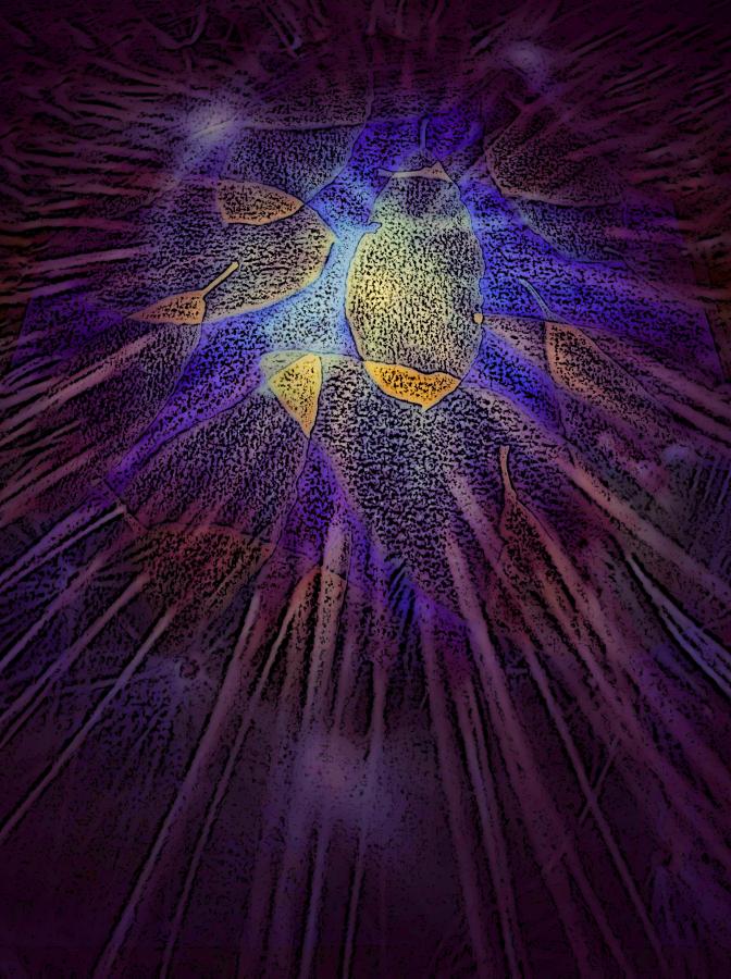 Rays of Healing
