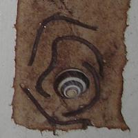 Escargot 4