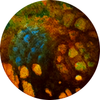Terre