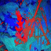 Color Impressions 2