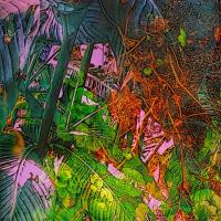 Fairies Hiding
