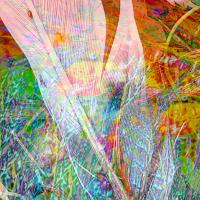 Feather Magic 2