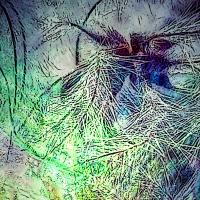 Feathery