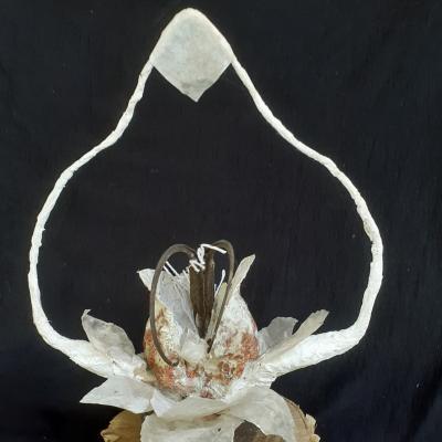 Cellulose Transformation 4