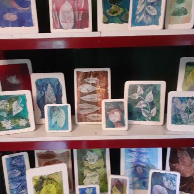 Variations Forestières