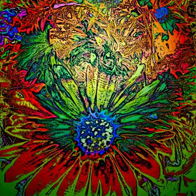 Just for the Fun of it