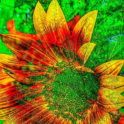 Sunflower Cornucopia