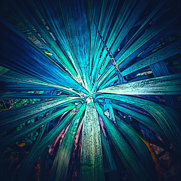 Blue Explosion