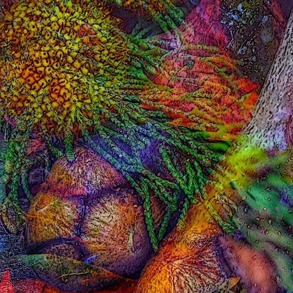 Cypres Abundance