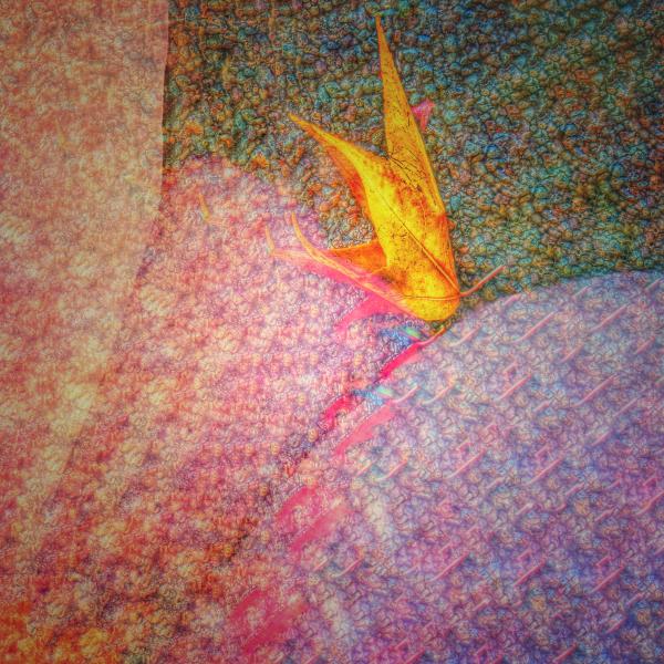 Fairy Presence