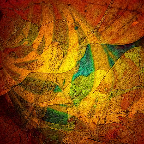 Fall Tapestry