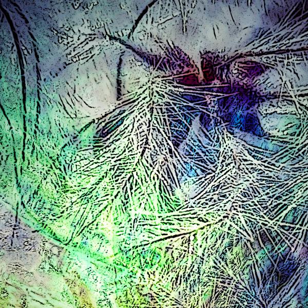 Feathery