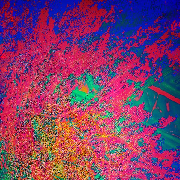 Inner World