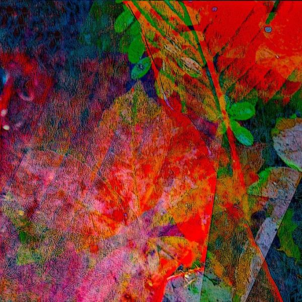 Layers of Mystery