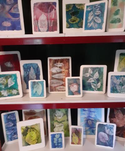 Variations Forestières