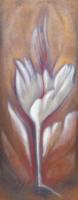 Natura Incognita