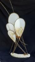 Cellulose Transformation 1