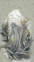 Dancing into abundance