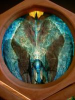 Bees 26