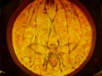 Bees 32