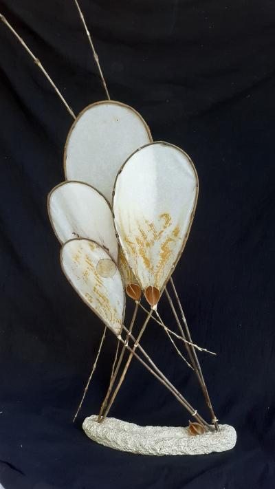 Cellulose Transformation 1