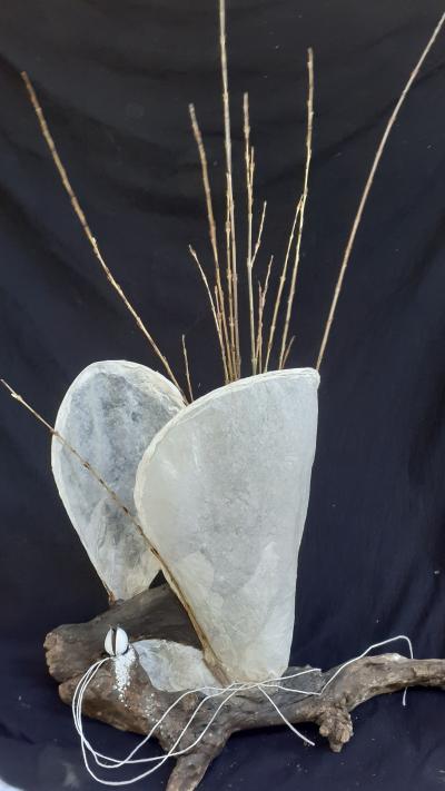 Cellulose Transformation 15