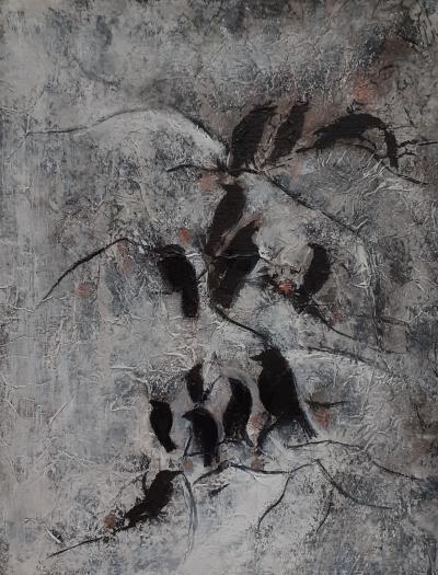 Congrégation des Choucas