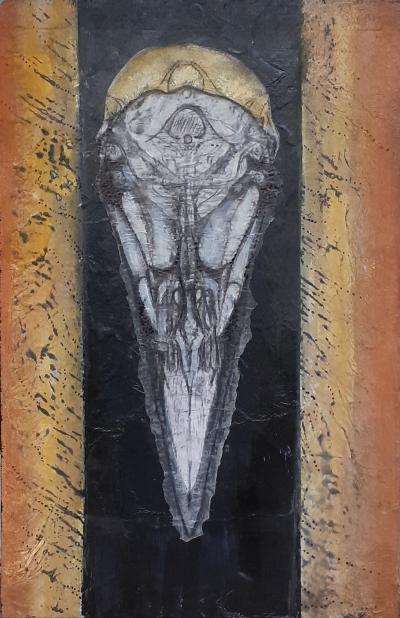 Anatomie du Corbeau 6