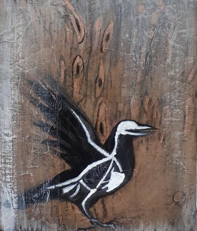 Anatomie du Corbeau 5