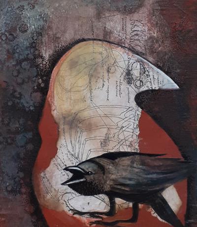 Anatomie du Corbeau 4