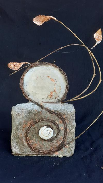 Cellulose Transformation 7