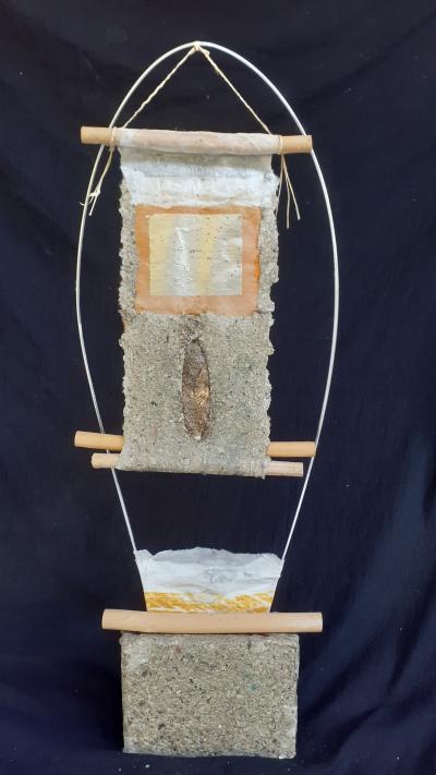 Cellulose Transformation 8