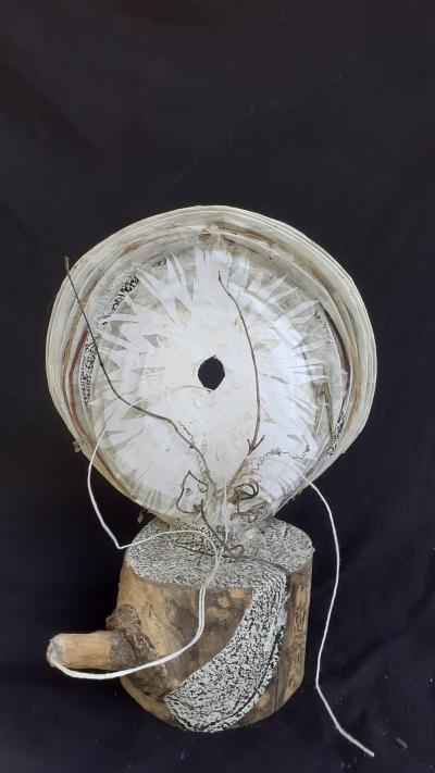 Cellulose Transformation 9