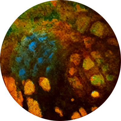 Terre