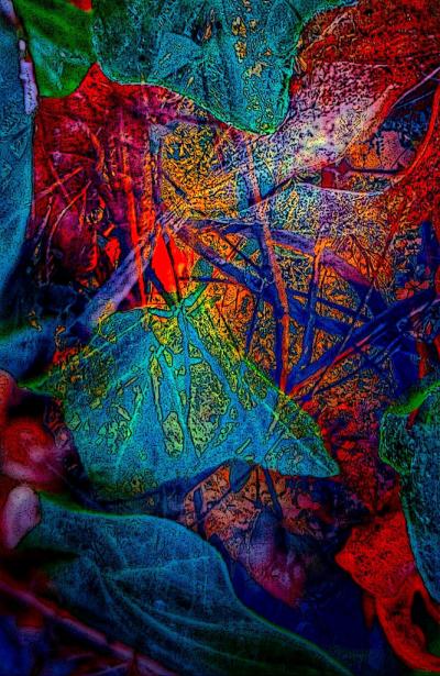 Blue Red