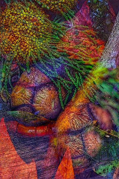 Cypres Abundance