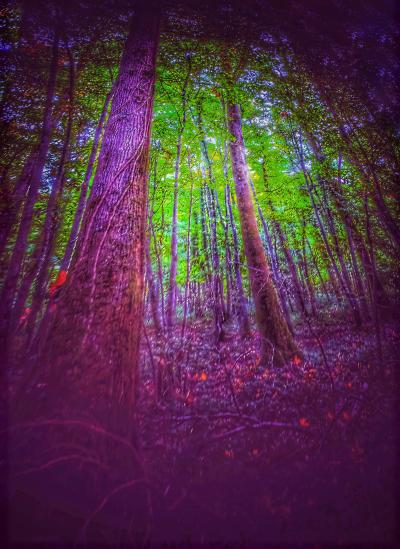 Darkness with Hope