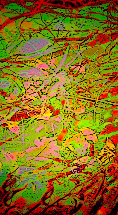 Fall Tapestry 2
