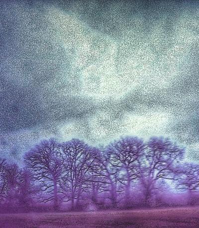 Spirit in the Sky