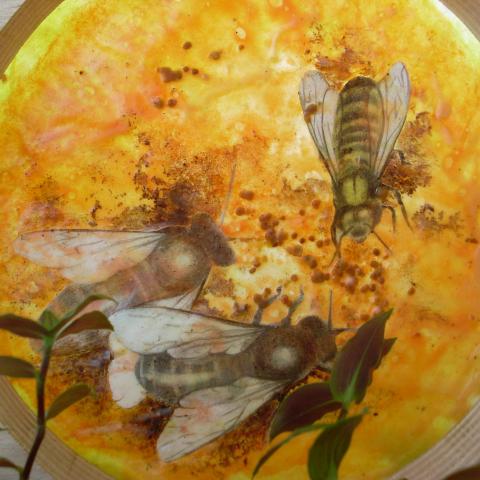 Bees 10
